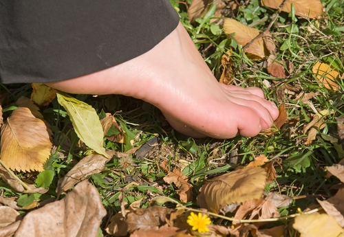 Toprağın gücüne kulak verin! galerisi resim 7