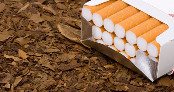 RESİMLERLE  2009 galerisi resim 7