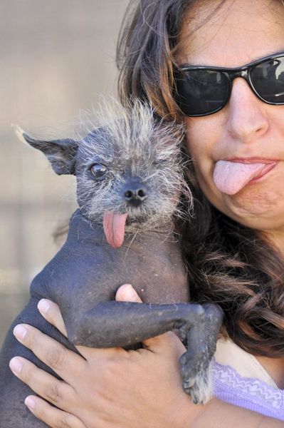 En çirkin köpek seçildi galerisi resim 4