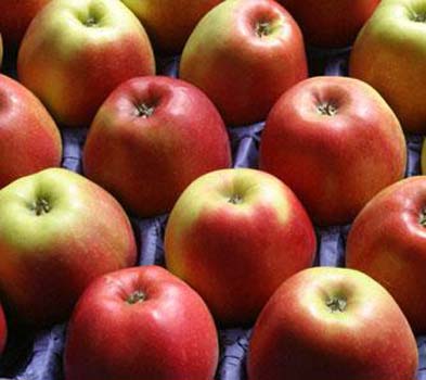 Cilde iyi gelen besinler galerisi resim 11