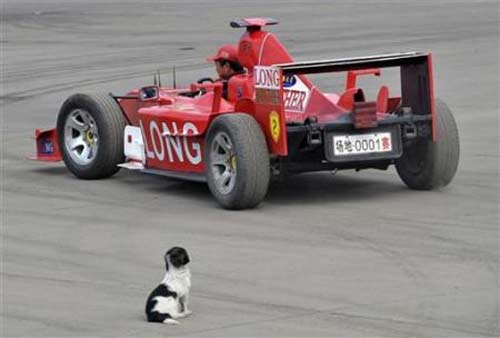 Mucitler sınır tanımıyor galerisi resim 21