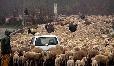 Çok acaip fotoğraflar! galerisi resim 19