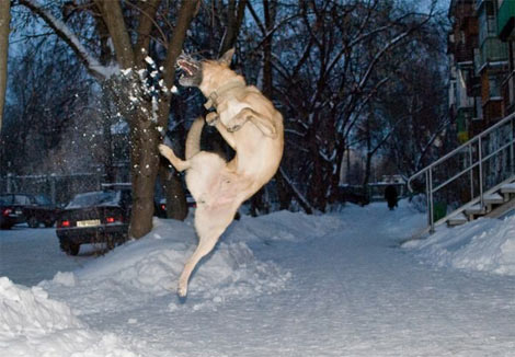 Çok acaip fotoğraflar! galerisi resim 6