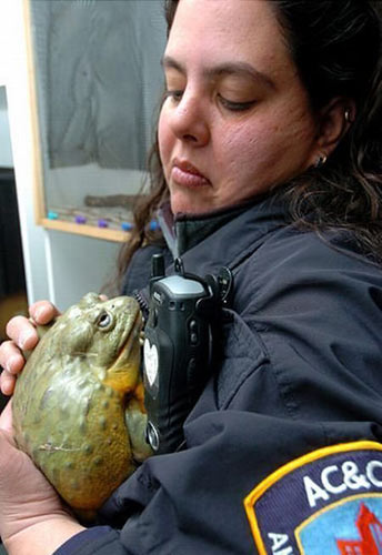 Çok acaip fotoğraflar! galerisi resim 7