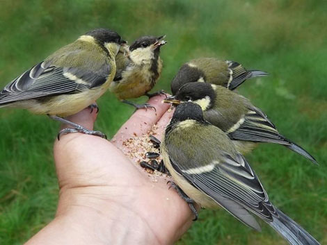 Çok acaip fotoğraflar! galerisi resim 8