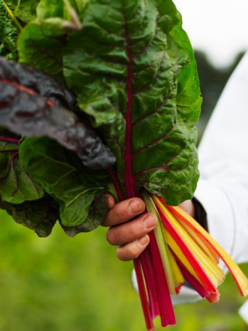 Hangi besini nasıl tüketmeliyiz? galerisi resim 3