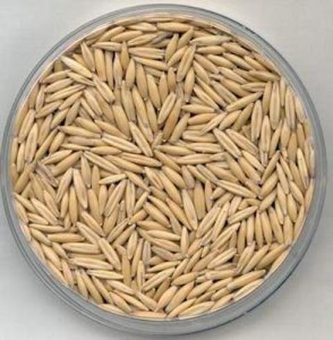 Yağ yakan yiyecekler galerisi resim 9