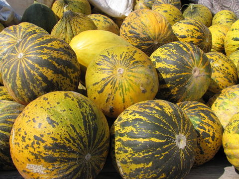 Hangi meyve neye yararlı? galerisi resim 7