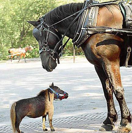 Bu kareler güldürüyor galerisi resim 5
