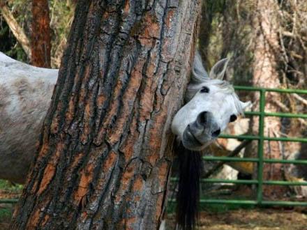 Bu kareler güldürüyor galerisi resim 7