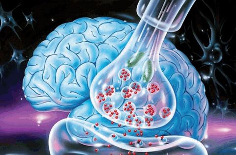 Unutkanlığı yenmenin yolları galerisi resim 6