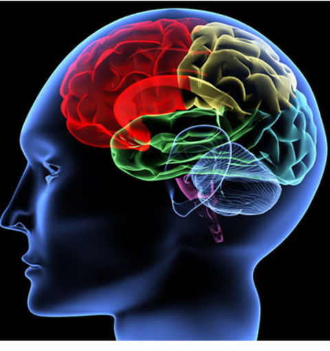 Unutkanlığı yenmenin yolları galerisi resim 7