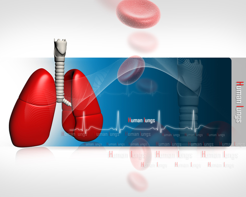 Organ naklinde neler dönüyor? galerisi resim 2