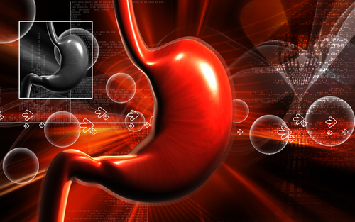 Organ naklinde neler dönüyor? galerisi resim 3