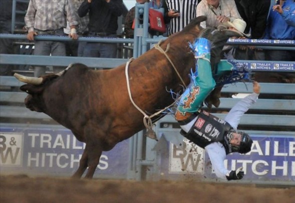 Kovboyun zor anları galerisi resim 15