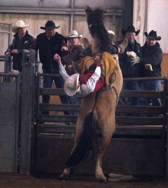 Kovboyun zor anları galerisi resim 9