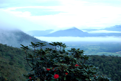 Dünyanın 21 yeni harikası galerisi resim 2
