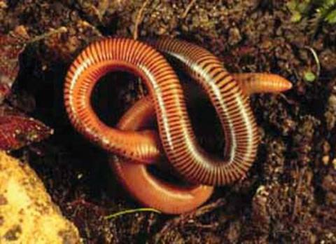 En tehlikeli liste! galerisi resim 13