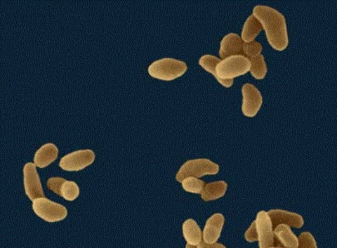 En tehlikeli liste! galerisi resim 14