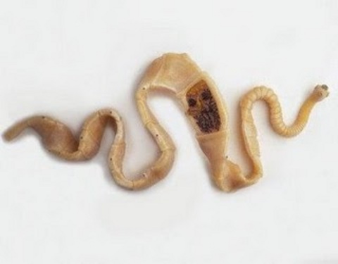 En tehlikeli liste! galerisi resim 8