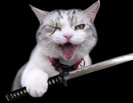 Son 10 yılda ne krizler yaşadık galerisi resim 3