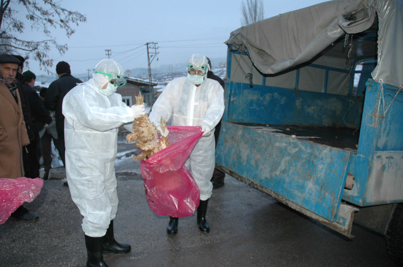 Son 10 yılda ne krizler yaşadık galerisi resim 5