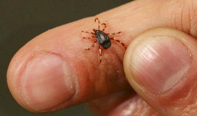 Son 10 yılda ne krizler yaşadık galerisi resim 7