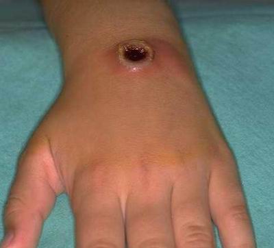 Son 10 yılda ne krizler yaşadık galerisi resim 8