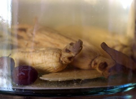 Kolesterol için tüketmeniz gerekenler galerisi resim 6