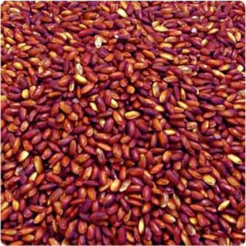 Kolesterol için tüketmeniz gerekenler galerisi resim 9