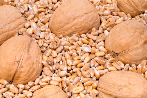 Bu diyet hastalıklardan koruyor galerisi resim 5