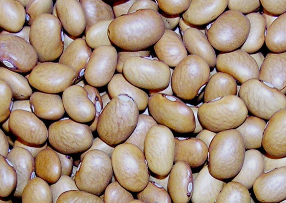 İşte kanserden koruyan 33 yiyecek! galerisi resim 10