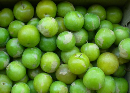 İşte kanserden koruyan 33 yiyecek! galerisi resim 16