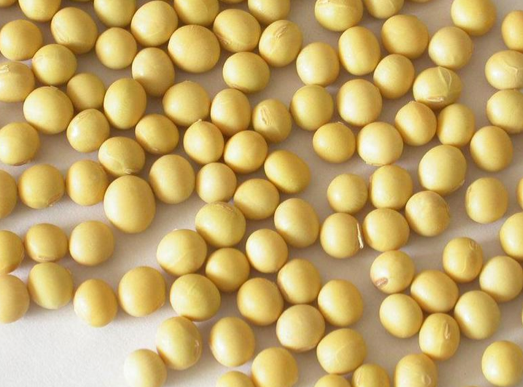 İşte kanserden koruyan 33 yiyecek! galerisi resim 23