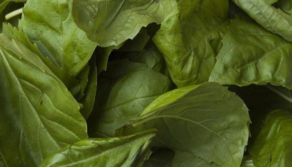 İşte kanserden koruyan 33 yiyecek! galerisi resim 29