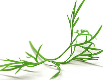 İşte kanserden koruyan 33 yiyecek! galerisi resim 31