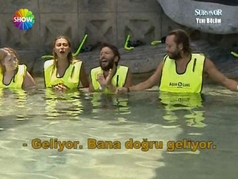 Nihat Doğan madara oldu! galerisi resim 7