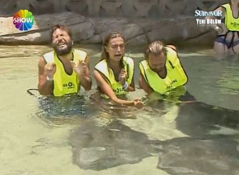 Nihat Doğan madara oldu! galerisi resim 9