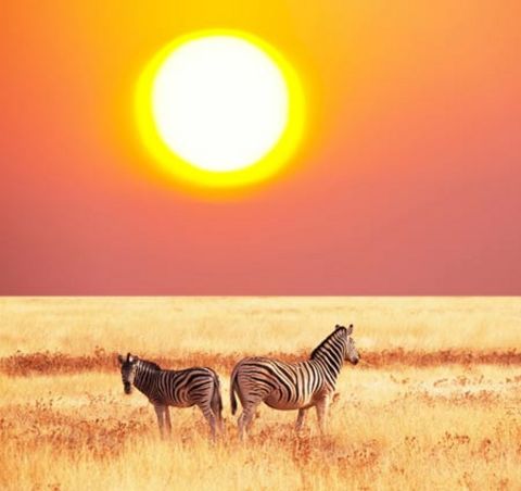 2011'in favori yerleri galerisi resim 6