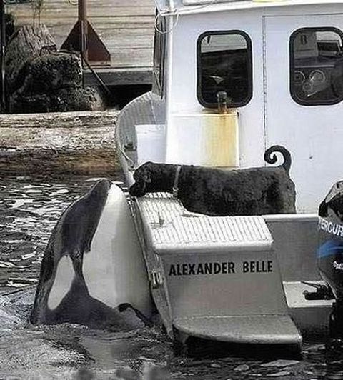 Sıradışı arkadaşlıklar galerisi resim 9