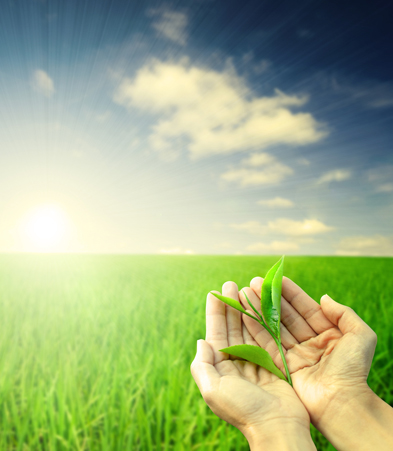 Şeker hastalığına yararlı besin takviyeleri! galerisi resim 2