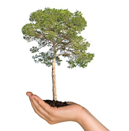 Şeker hastalığına yararlı besin takviyeleri! galerisi resim 4