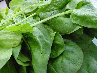 Sağlığınız için en faydalı 10 gıda galerisi resim 7