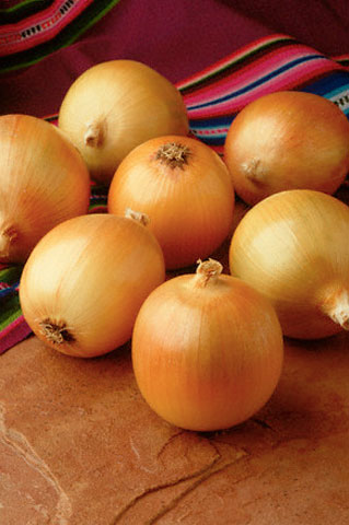 Soğan böyle yenirse öksürüğü yok ediyor galerisi resim 1