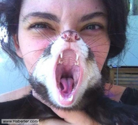 Bu fotoğraflar sizi yanıltacak galerisi resim 15