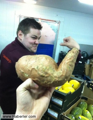 Bu fotoğraflar sizi yanıltacak galerisi resim 25