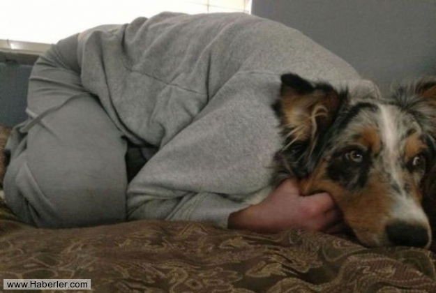 Bu fotoğraflar sizi yanıltacak galerisi resim 29