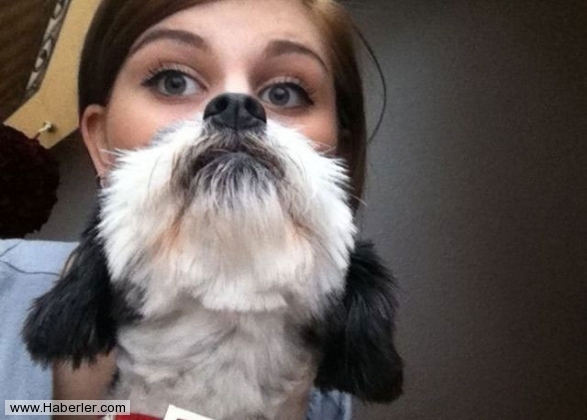 Bu fotoğraflar sizi yanıltacak galerisi resim 30