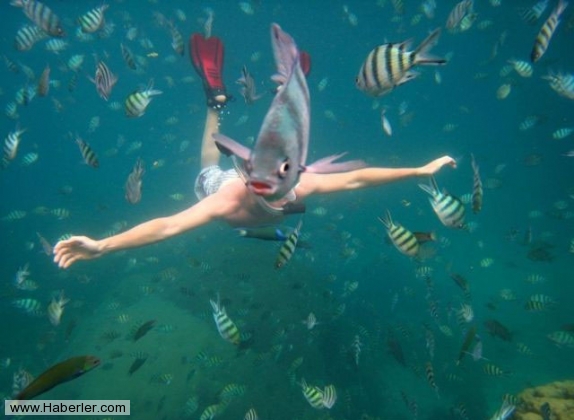 Bu fotoğraflar sizi yanıltacak galerisi resim 6