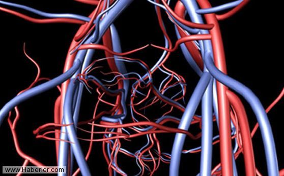 Hiç bilmediğiniz gerçekler galerisi resim 24